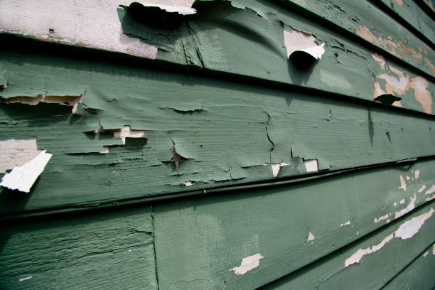 Best Commercial Junk Removal  in Combe, LA