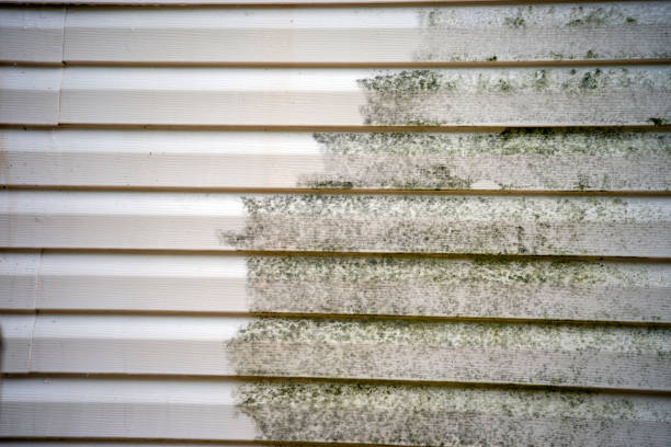 Best Demolition Debris Removal  in Combe, LA